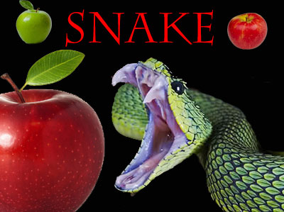 Snake
